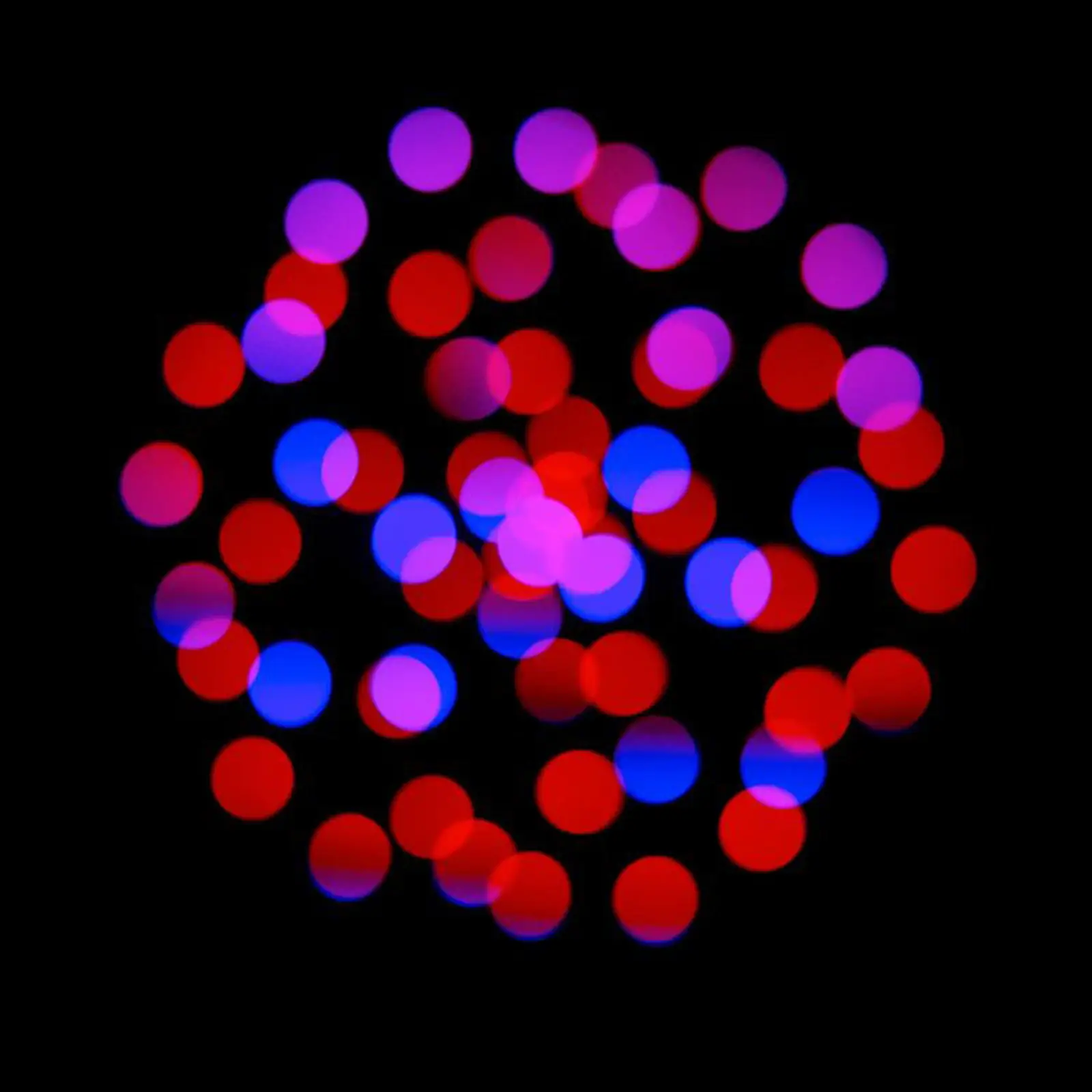 Focus CMY Compact - Image 6
