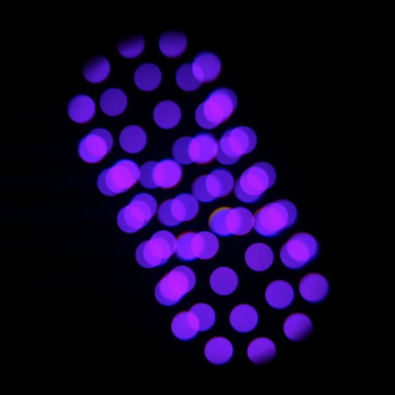Focus CMY Compact - Image 8