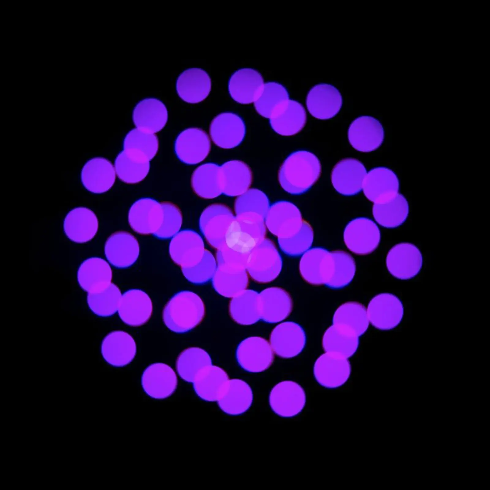 Focus CMY Compact - Image 12