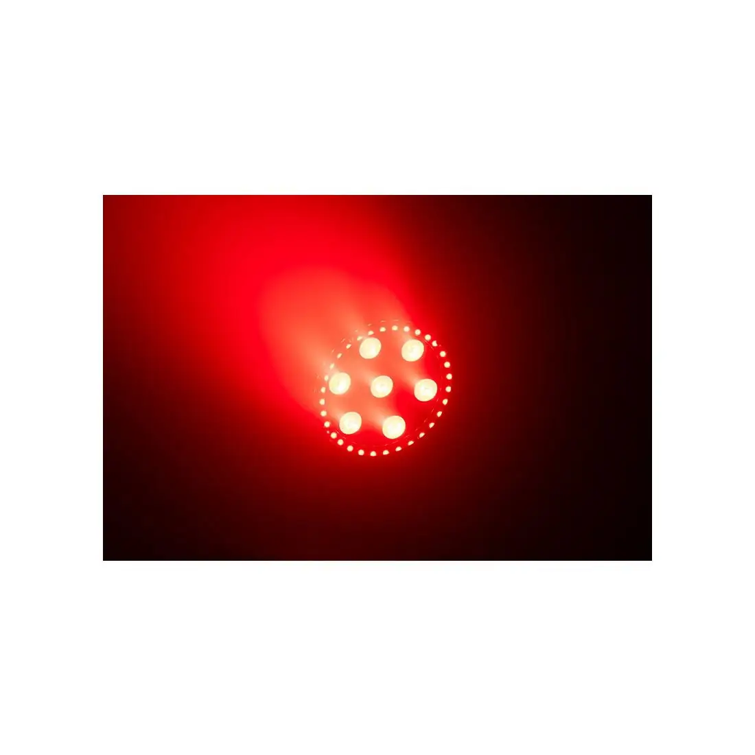LP 8R - Image 2