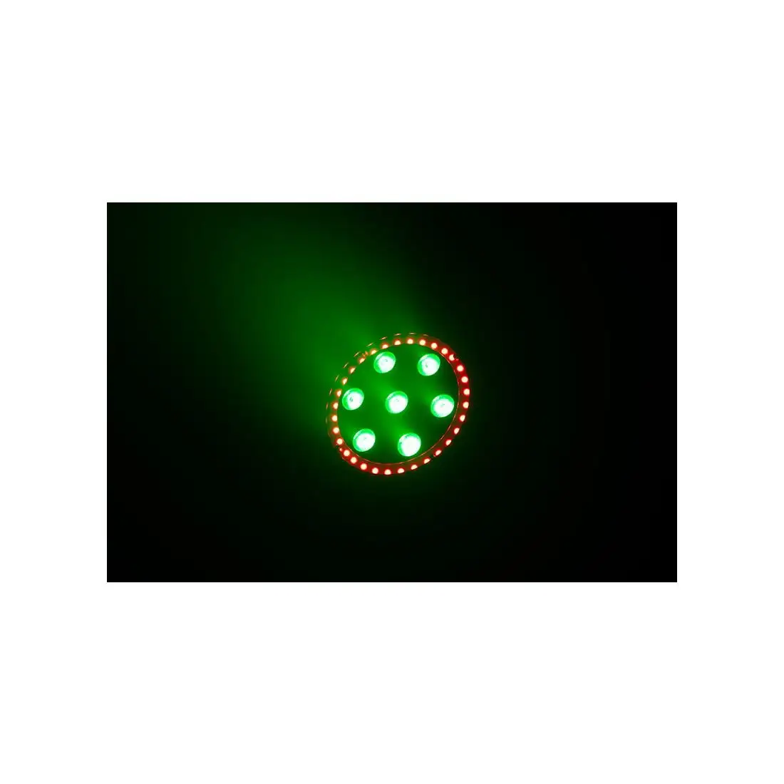 LP 8R - Image 12