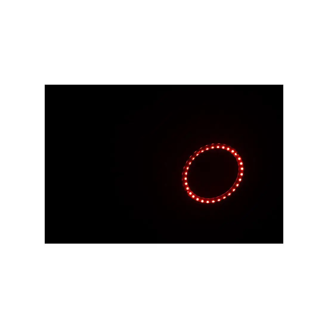 LP 8R - Image 13