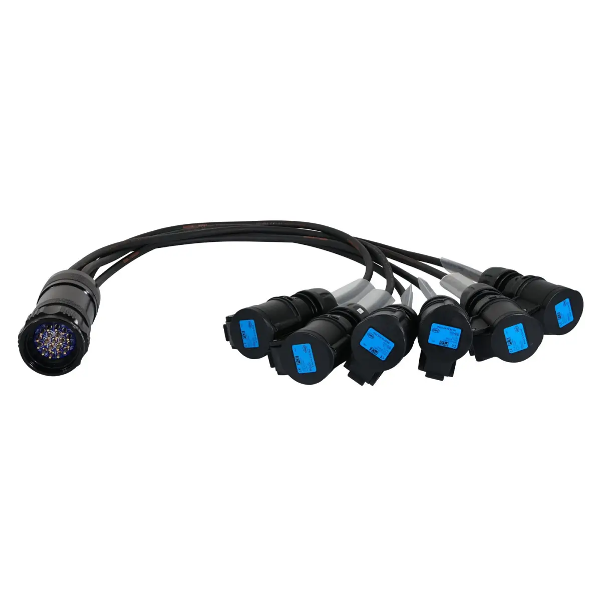 Socapex 19-Pin Male - 16A Female 1.5mm Fan-Out Cable - CABL464