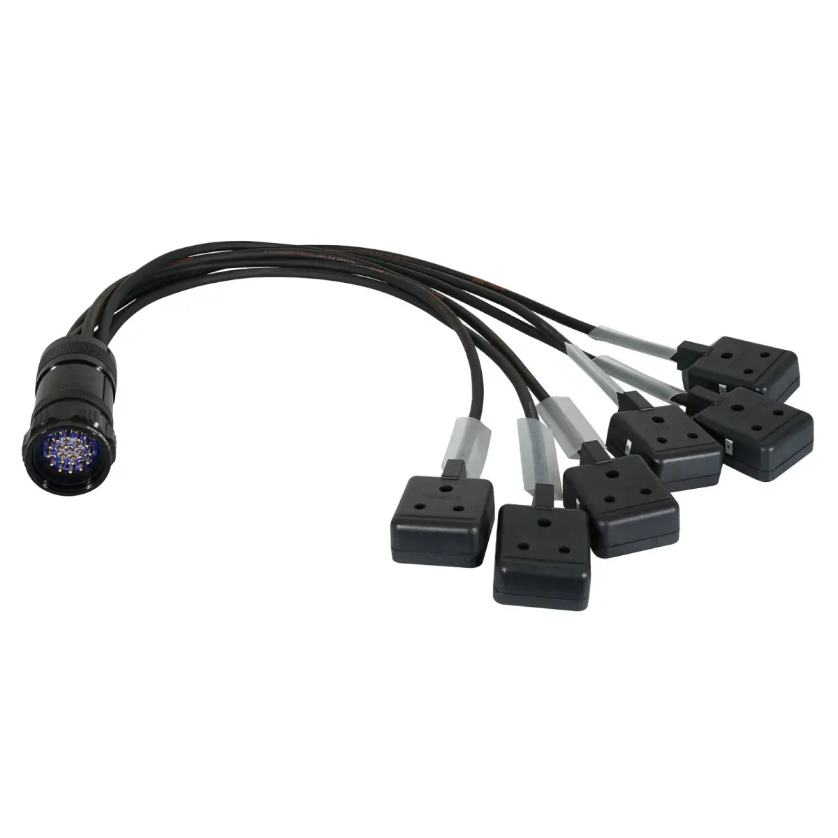 Socapex 19-Pin Male - 15A Female 1.5mm Fan-Out Cable - CABL468