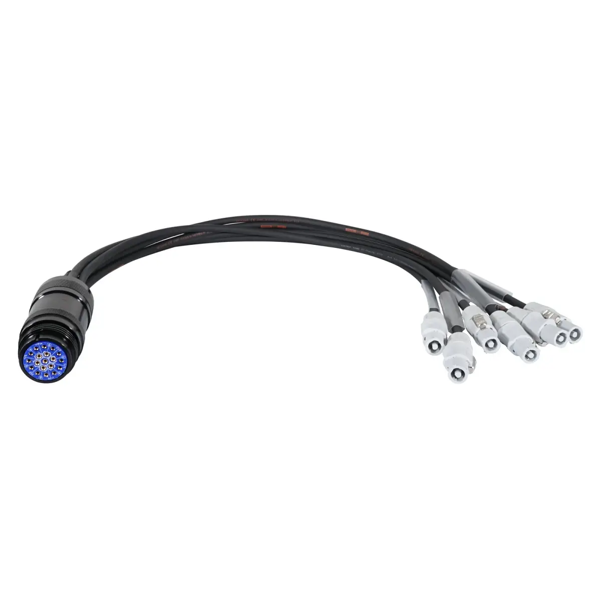 powerCON - Socapex 19-Pin Female 1.5mm Fan-In Cable - CABL471