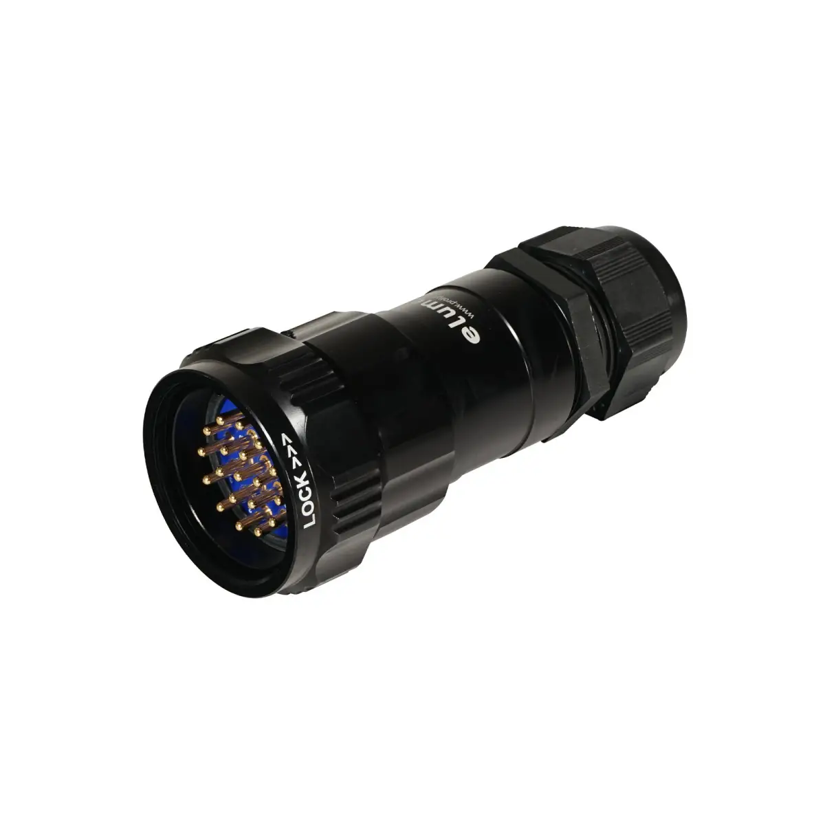 Socapex 19-Pin Line Male Plug 16-28mm Numbered - CONN402A