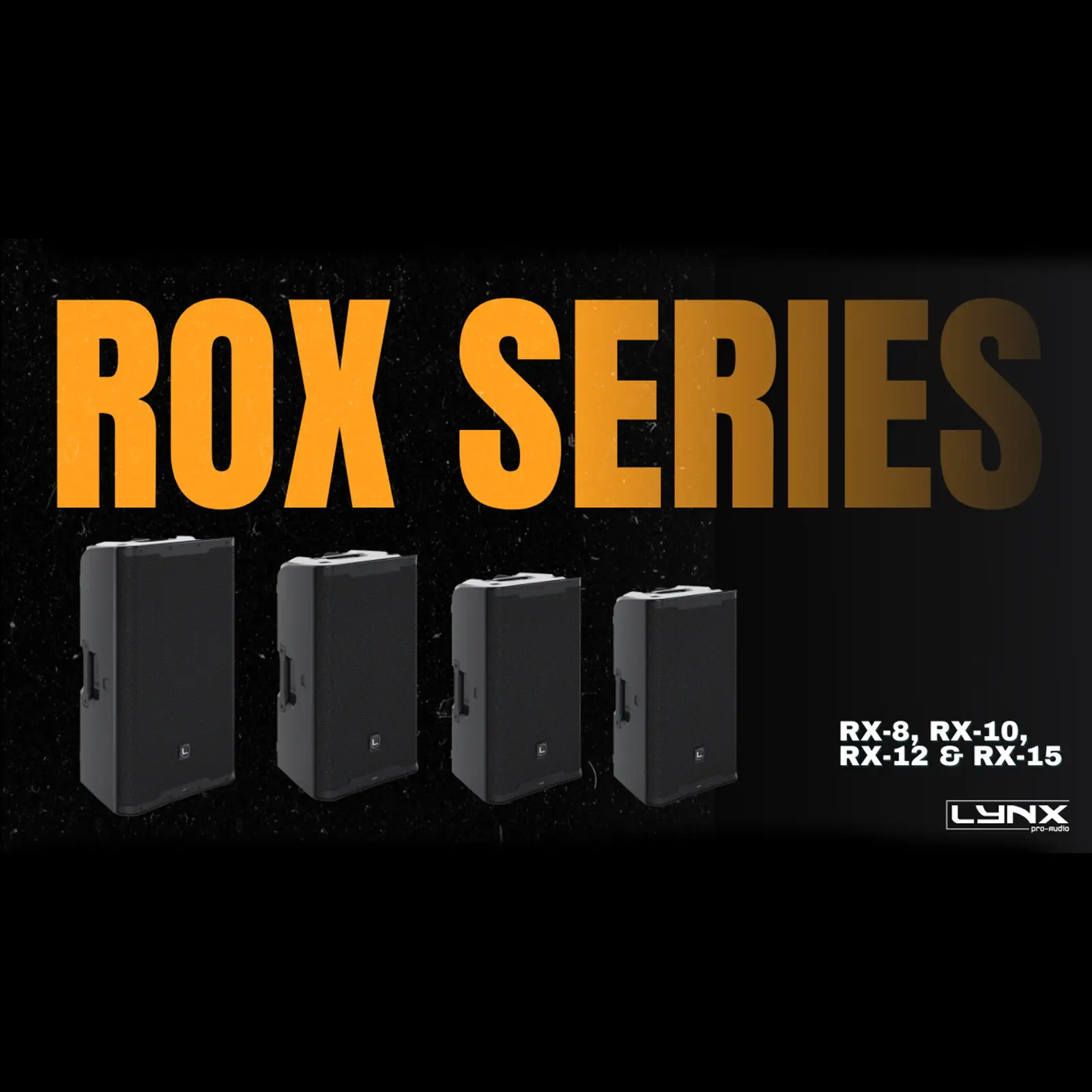 Full Range 12" Loudspeaker ROX-12 - Image 3