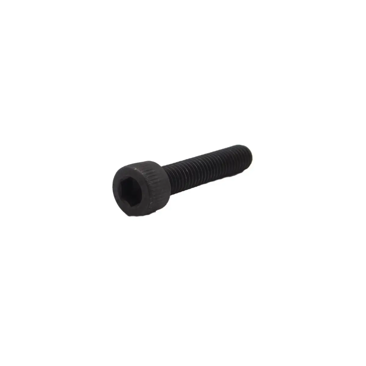 EXIN M6 X 30 SCREW (37) (SP-37 IN) SL/37 - SL/37