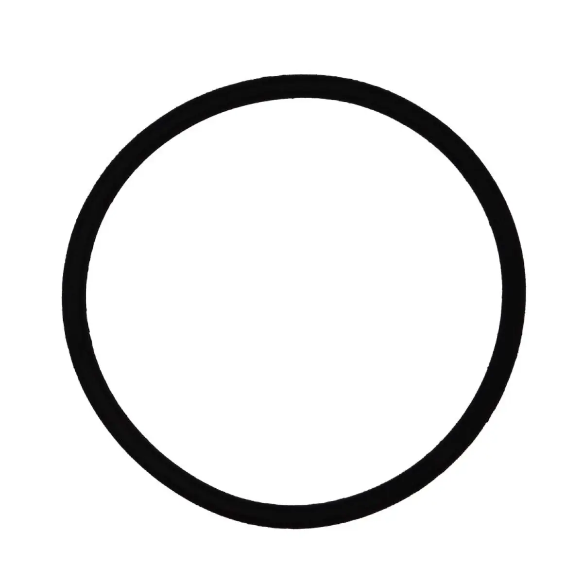 Elite SPK450A & SPK450AF PLASTIC OUTLET O RING (49) SPK450A/49 - SPK450A/49