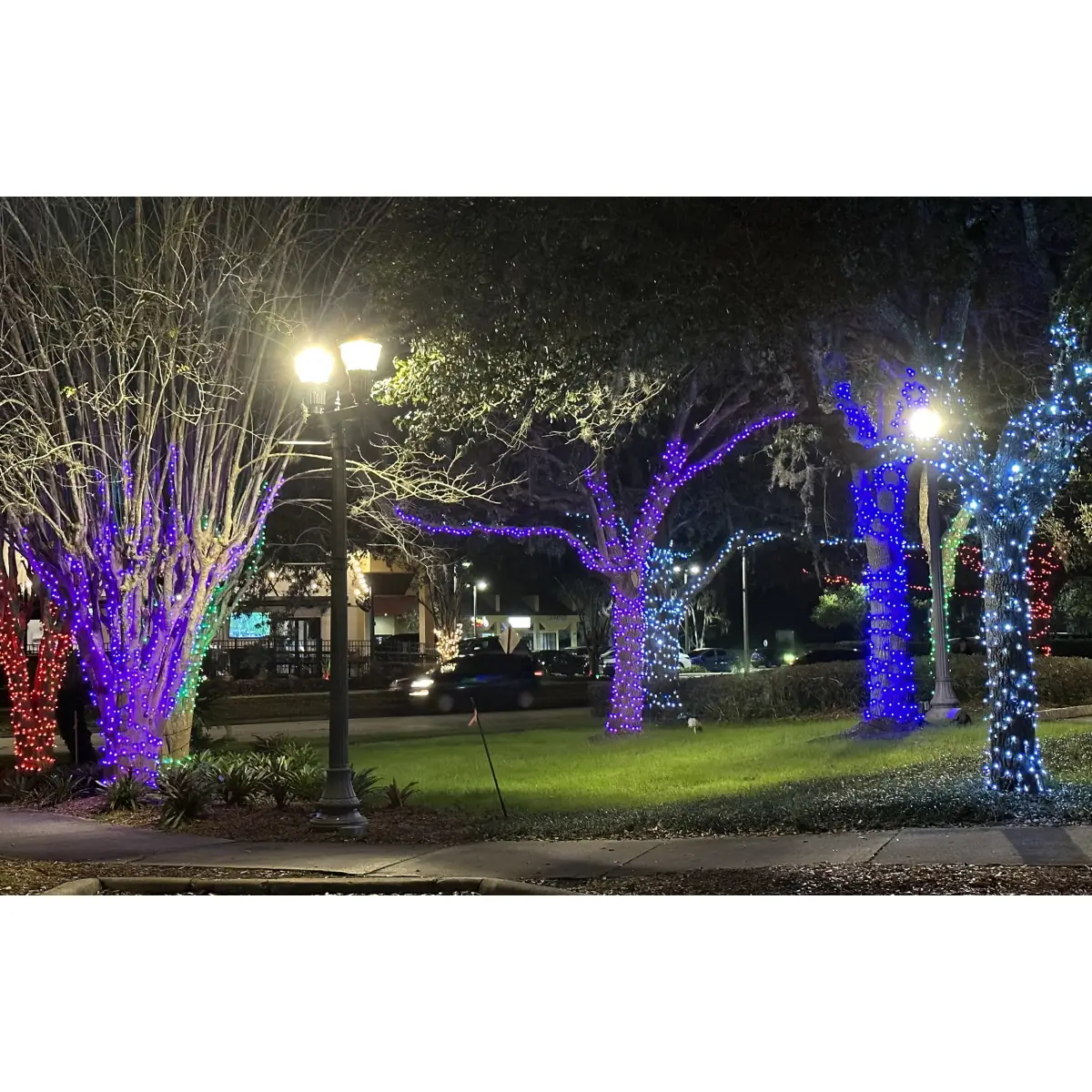 Rubber Connectableย Dimmableย LED String Lights Cool White 10m - ELUM652