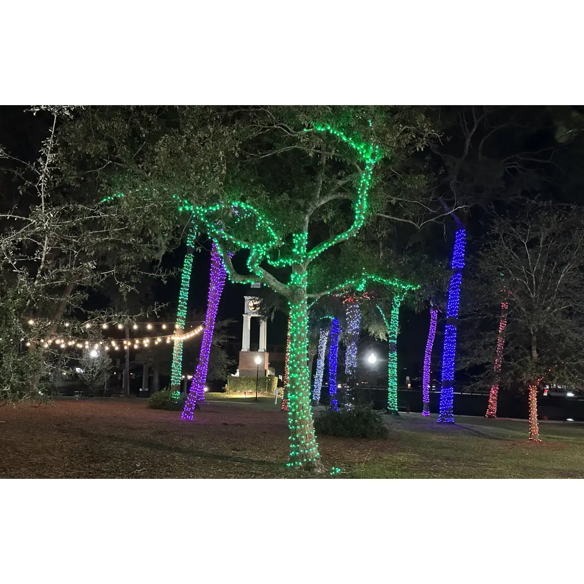 Rubber Connectableย Dimmableย LED String Lights Orange 20m - ELUM671