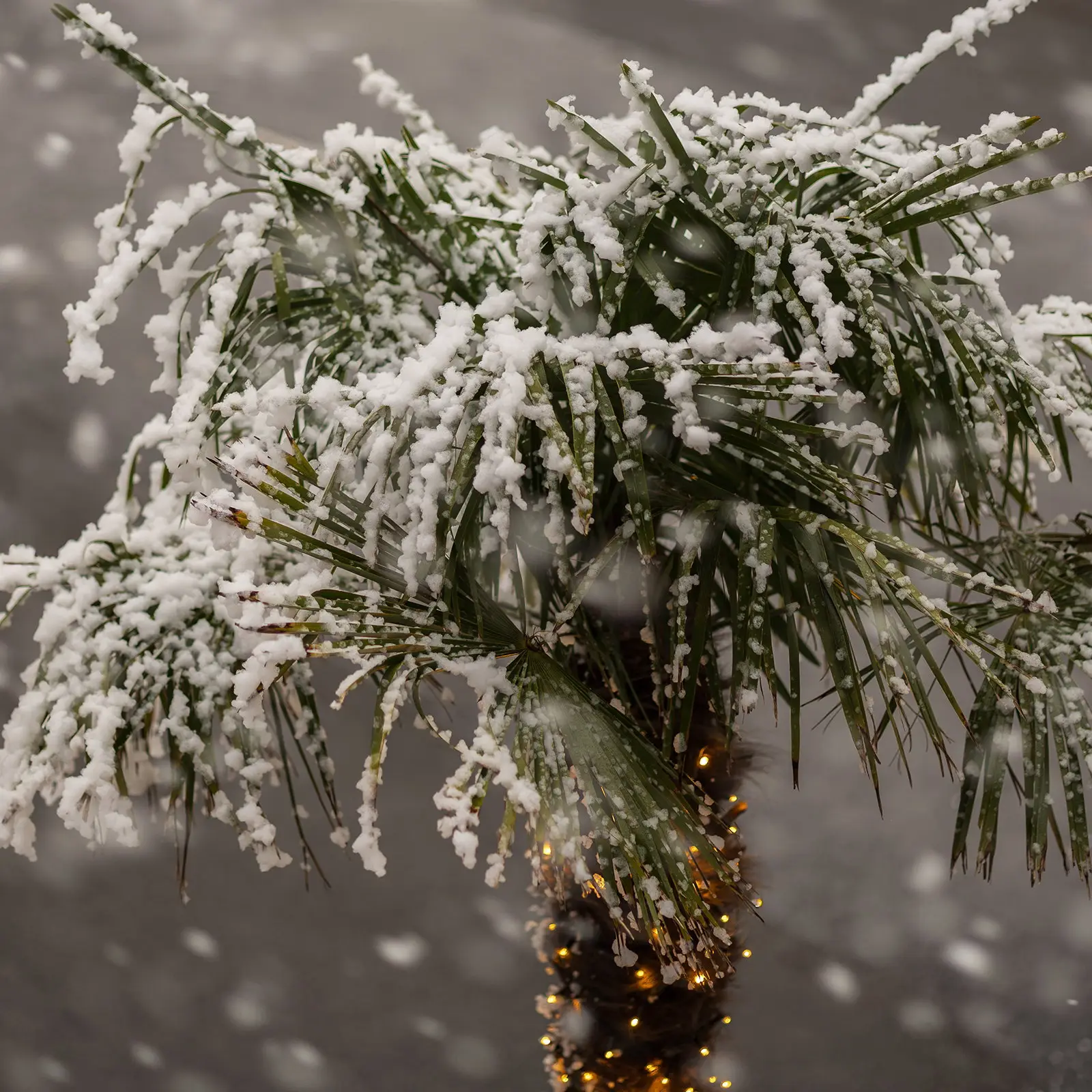 Storm 600 Snow Machine - Image 19