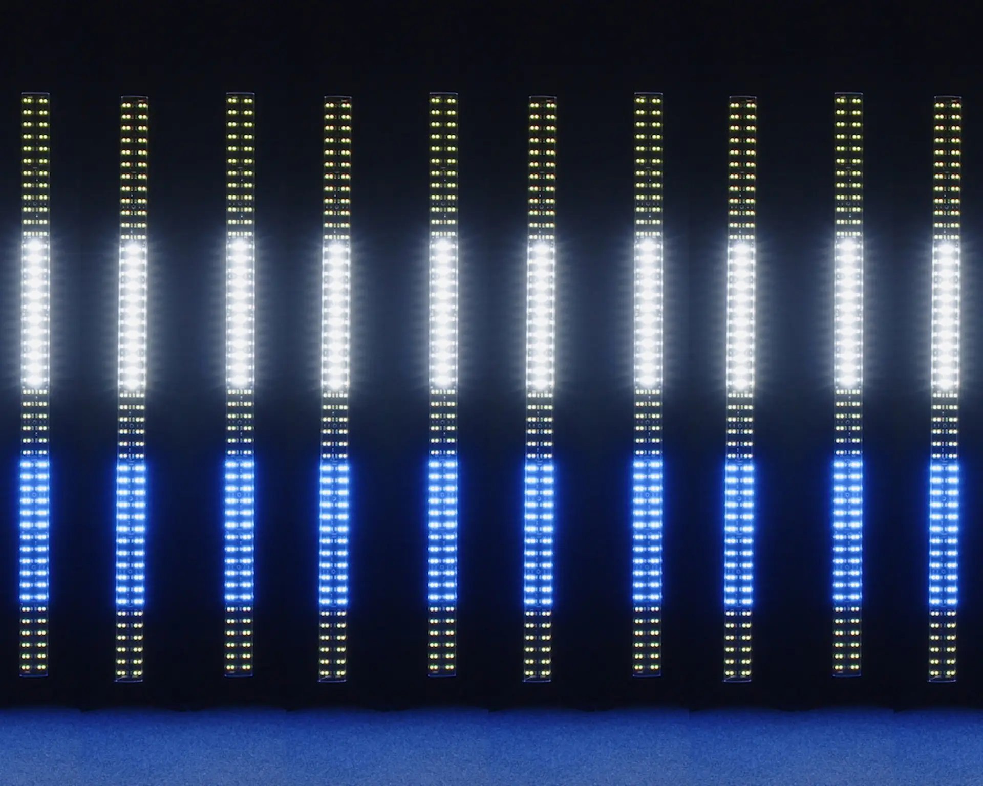 Spectra Strobe Batten - Image 14