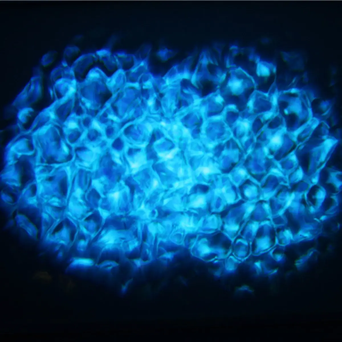 Waterwave 50W - EQLED374