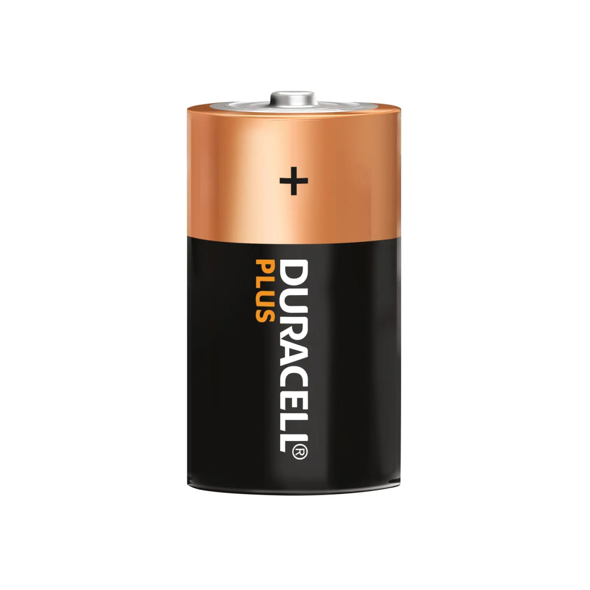 D Cell Plus Power LR20/HP2 Batteries (Pack 2)