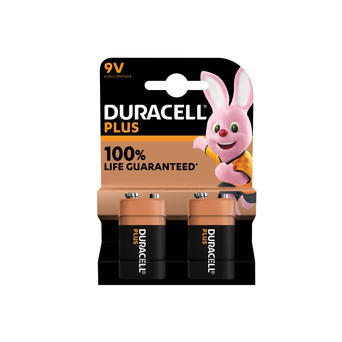 9V +100% Plus Power Battery (Pack 2)