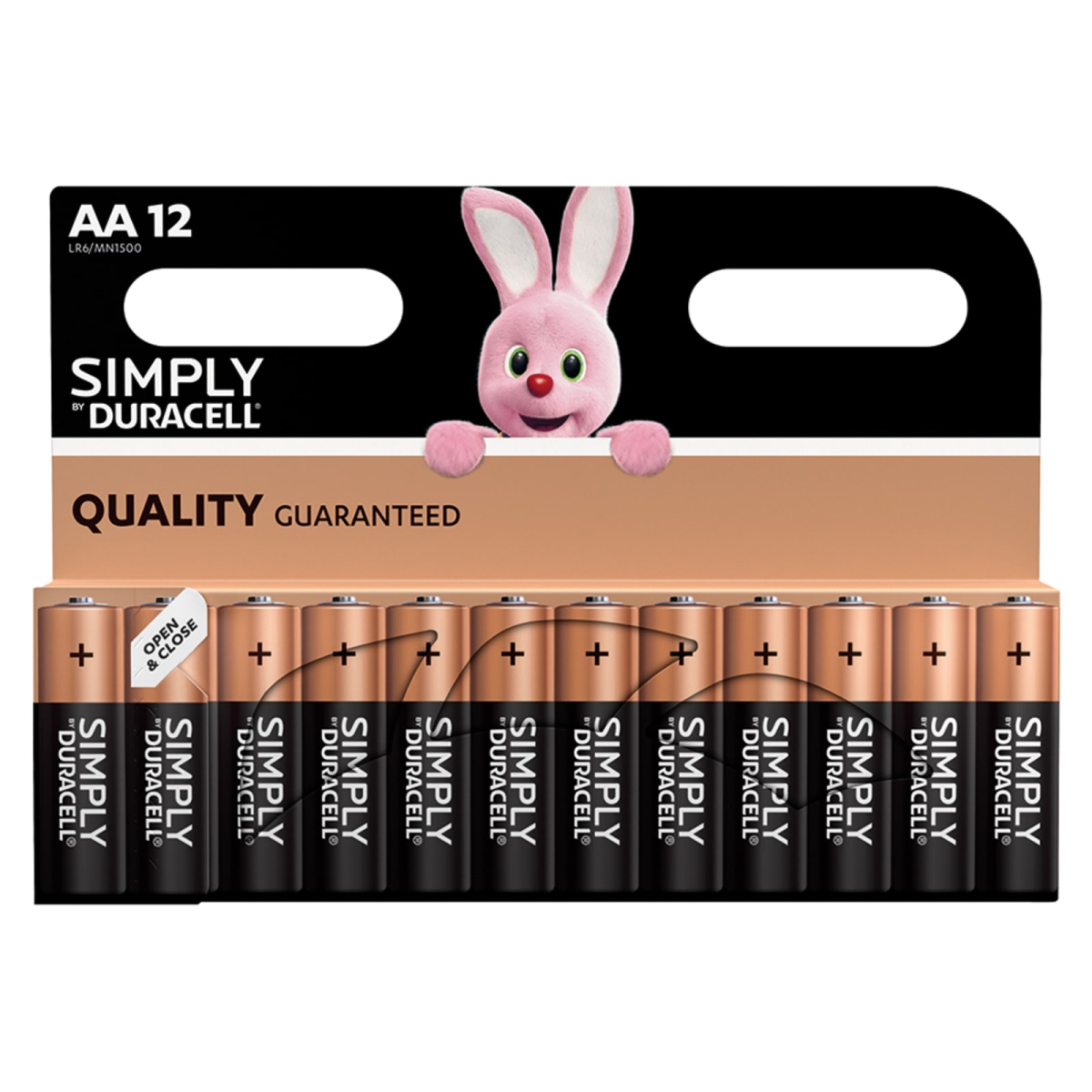 Simply Batteries AA x 12 S5938