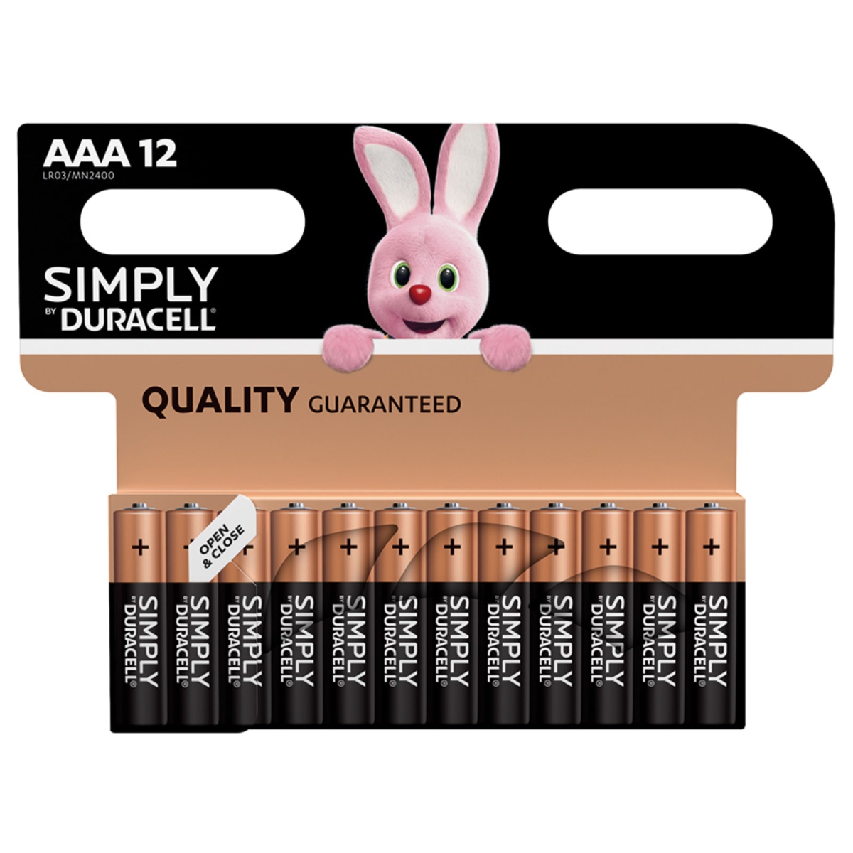 Simply Batteries AAA x 12 S5939