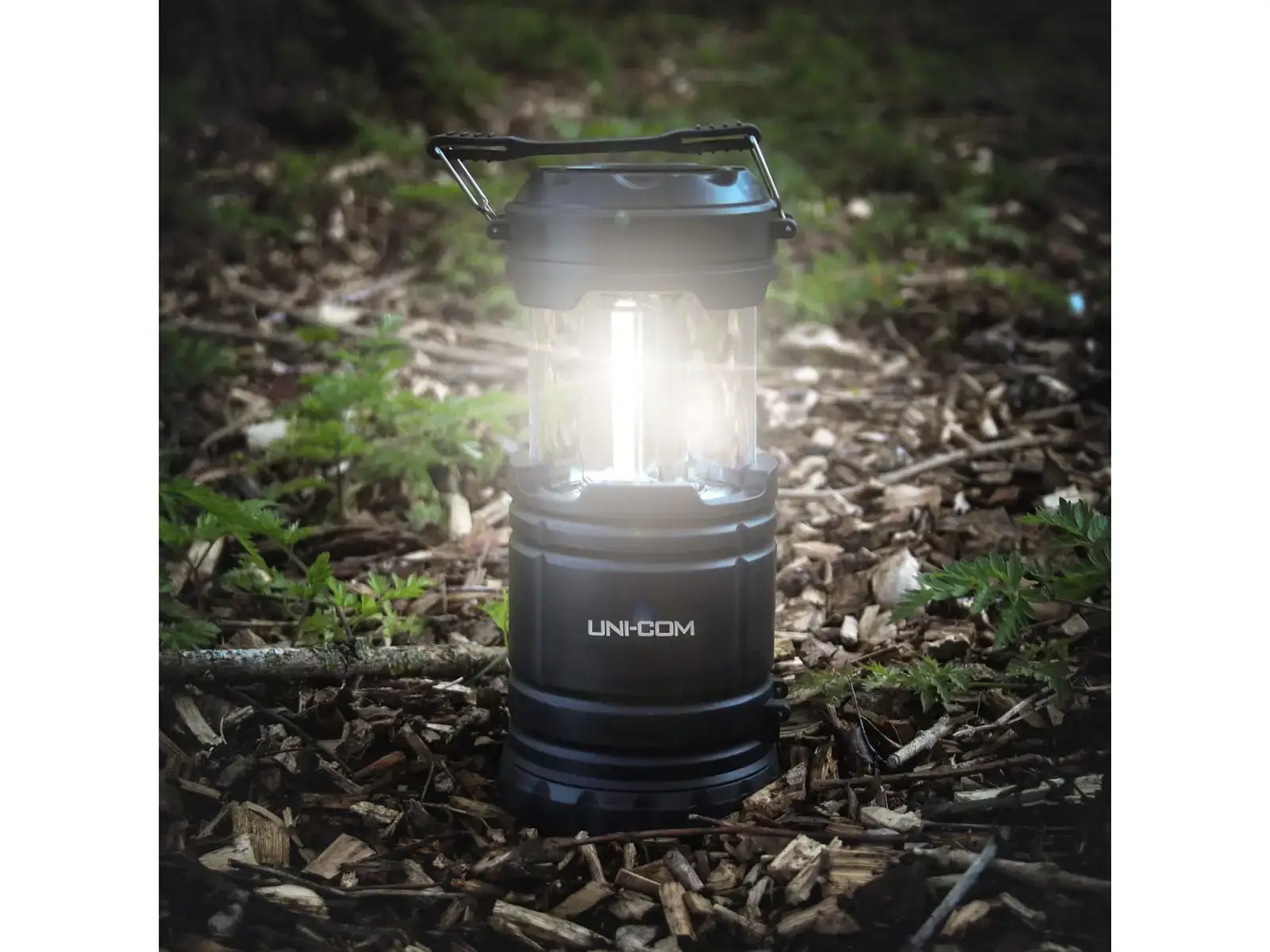 Spotlight and Lantern - Image 20