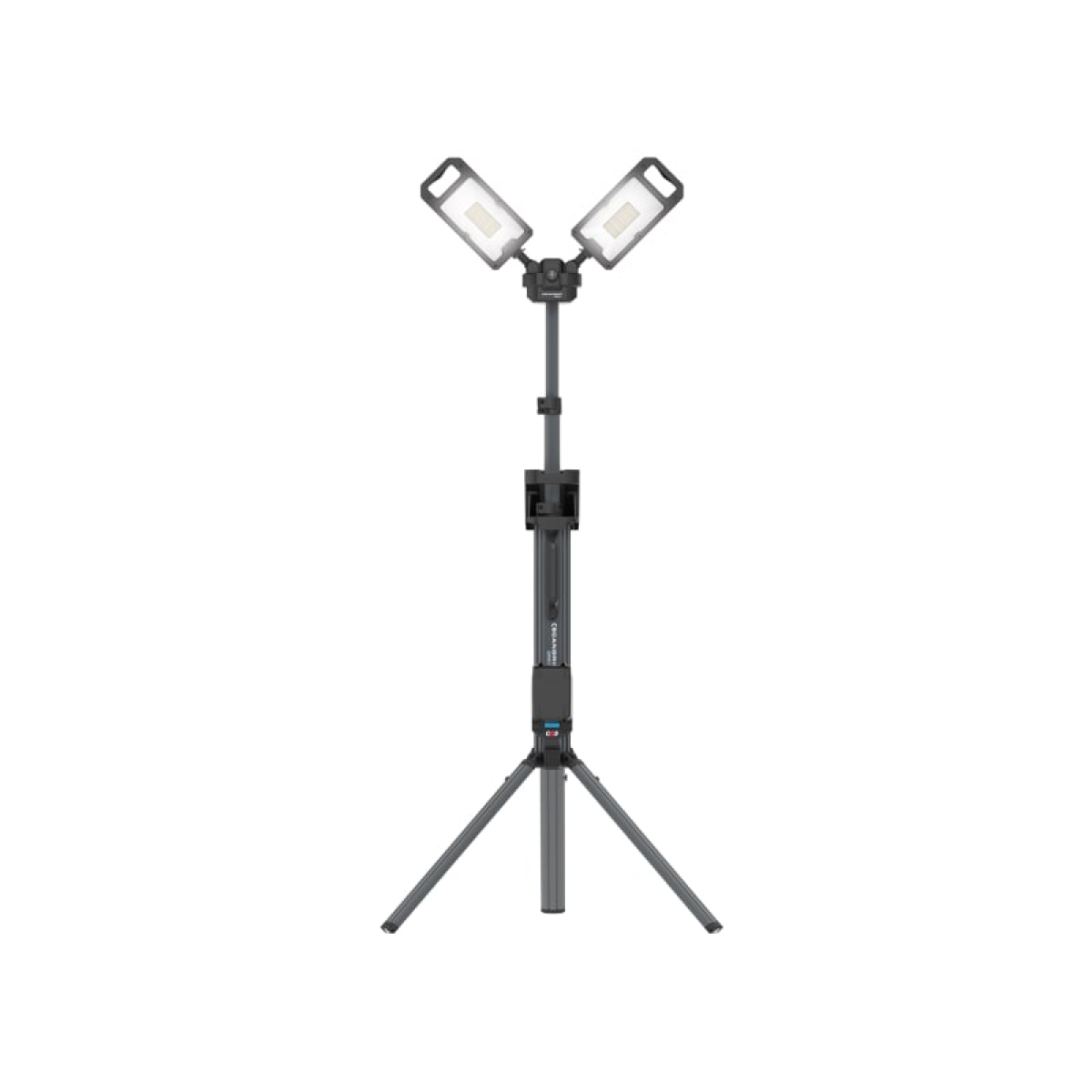 SCG036107C