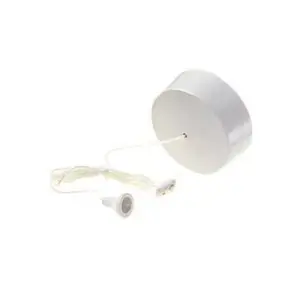 2 Way Ceiling Switch 5 Amp 1731NB