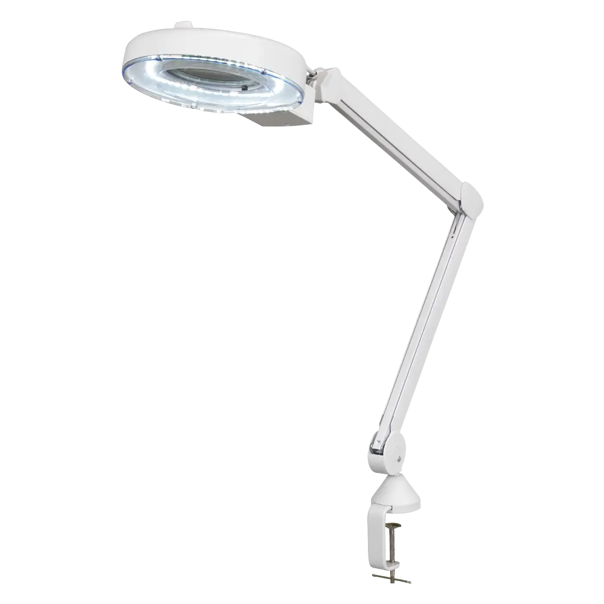 SEWL483D19