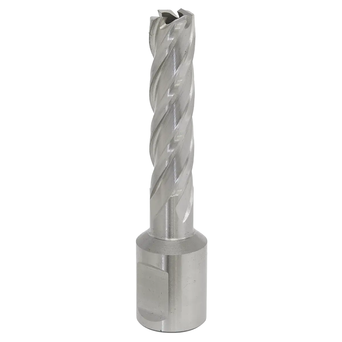 Worksafe® 12mm HSS Mag Drill Bit Cut Depth 50mm [RBHSS12L]