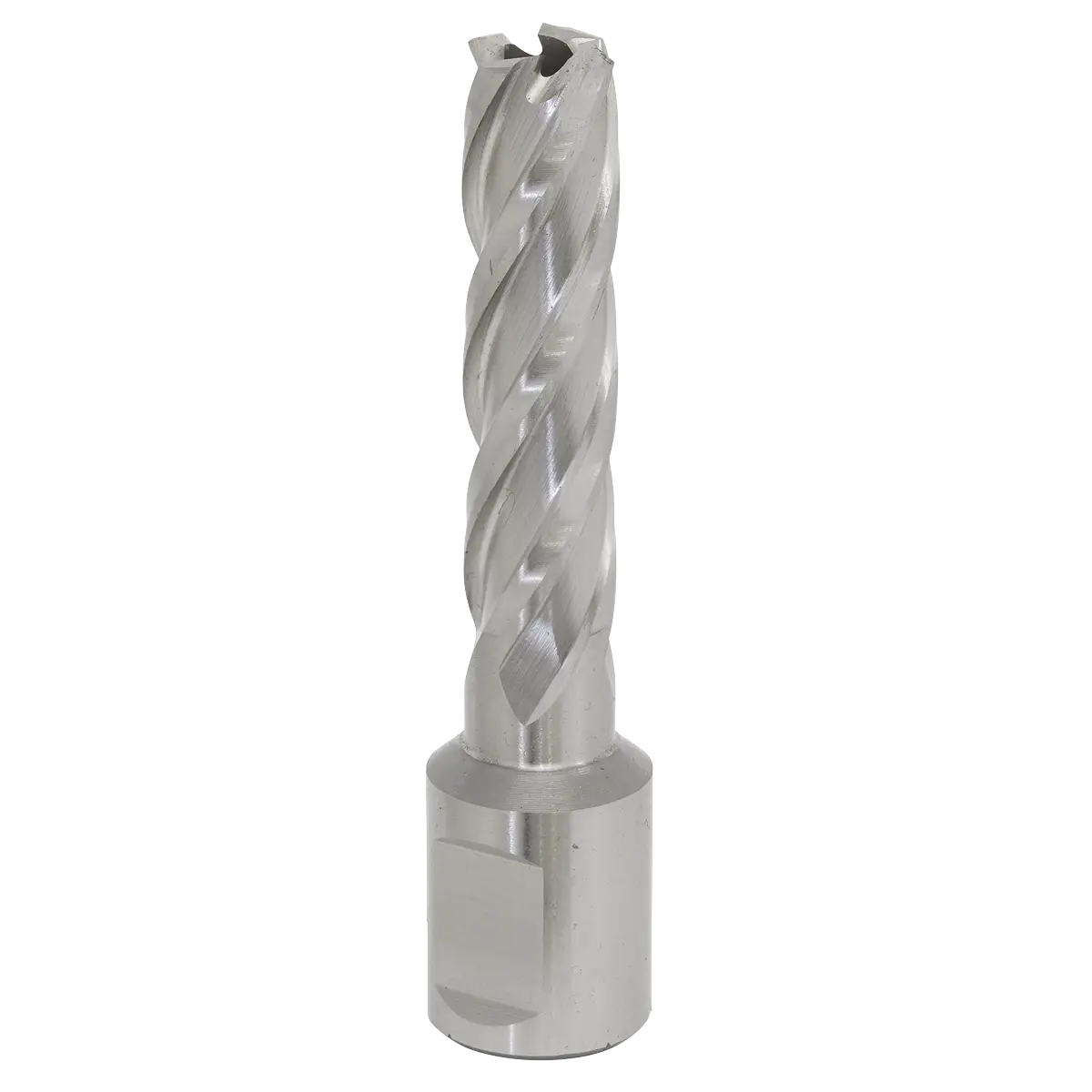 Worksafe® 13mm HSS Mag Drill Bit Cut Depth 50mm [RBHSS13L]