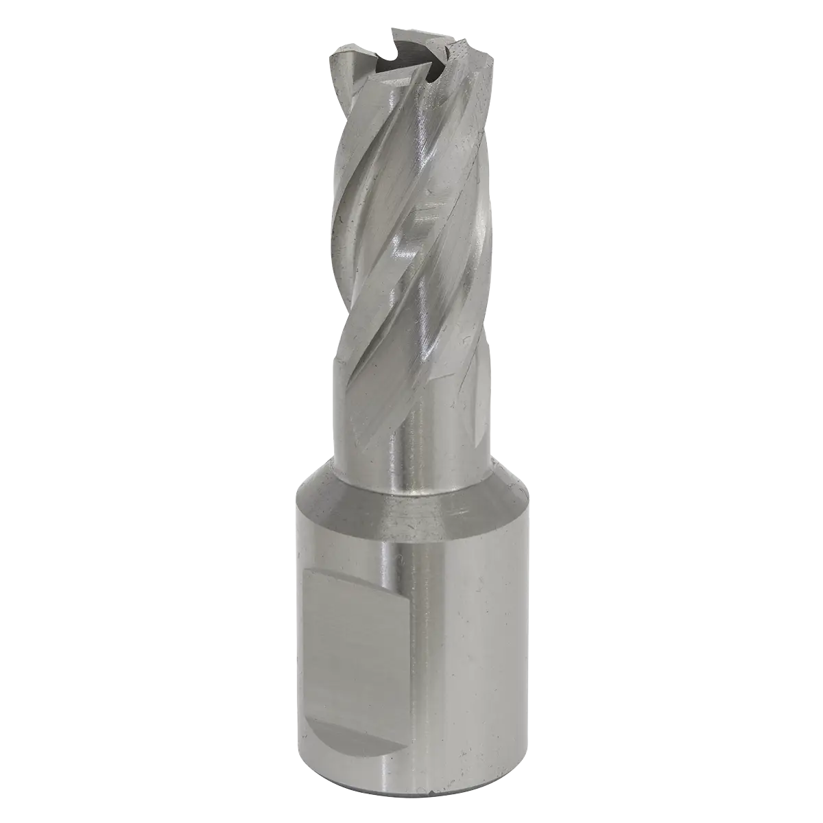 Worksafe® 13mm HSS Mag Drill Bit Cut Depth 25mm [RBHSS13S]