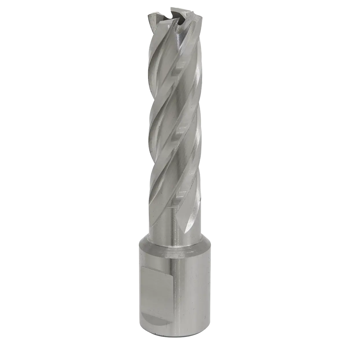 Worksafe® 14mm HSS Mag Drill Bit Cut Depth 50mm [RBHSS14L]
