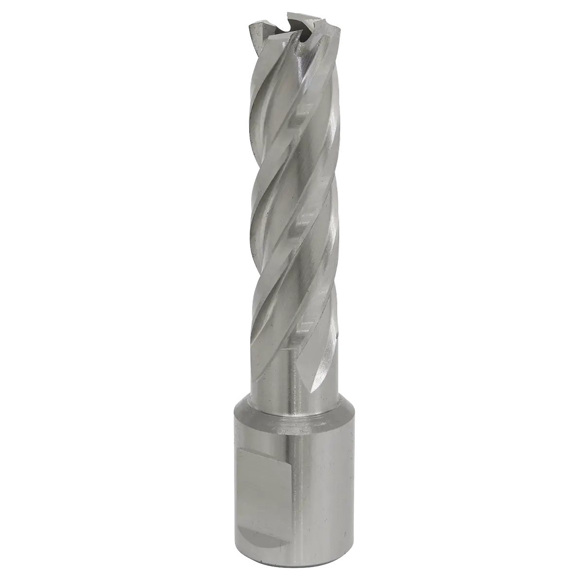Worksafe® 15mm HSS Mag Drill Bit Cut Depth 50mm [RBHSS15L]