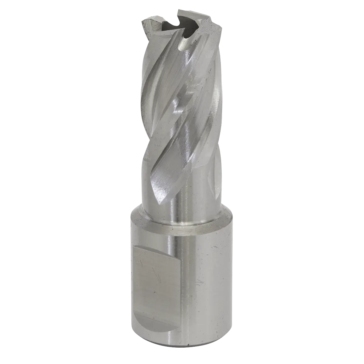 Worksafe® 15mm HSS Mag Drill Bit Cut Depth 25mm [RBHSS15S]