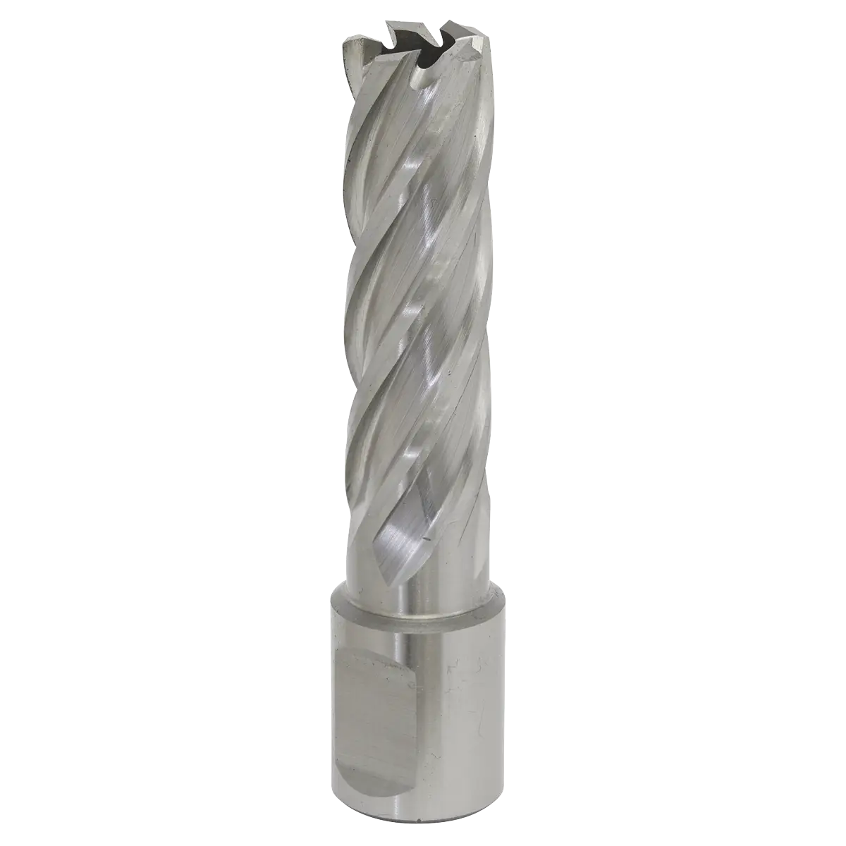 Worksafe® 16mm HSS Mag Drill Bit Cut Depth 50mm [RBHSS16L]
