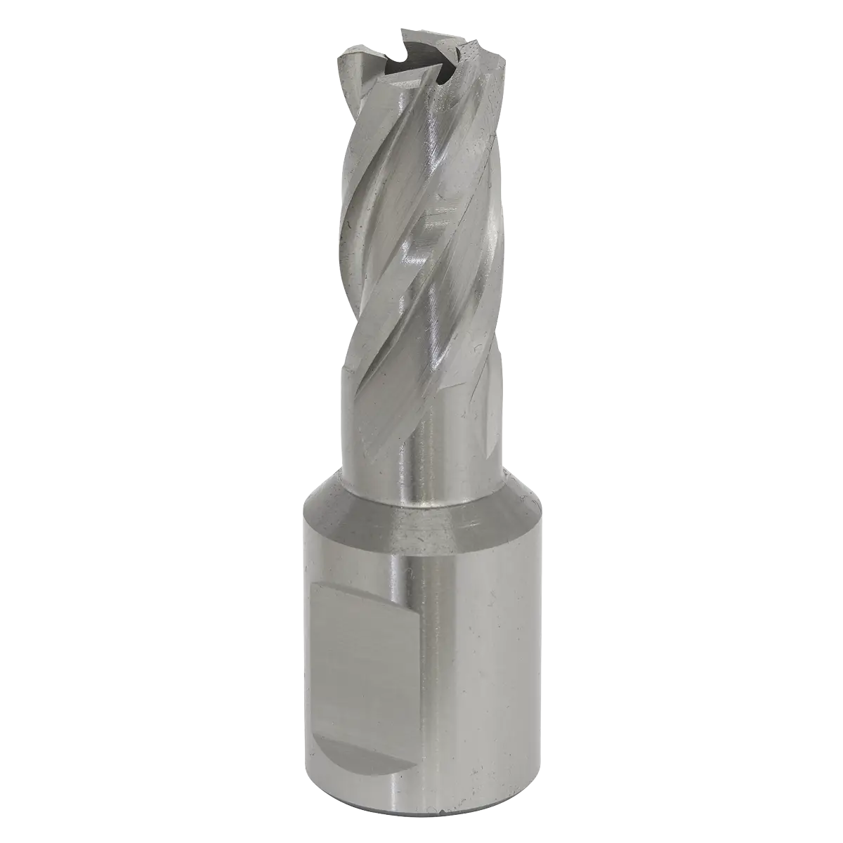 Worksafe® 16mm HSS Mag Drill Bit Cut Depth 25mm [RBHSS16S]