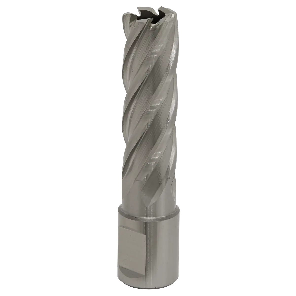 Worksafe® 17mm HSS Mag Drill Bit Cut Depth 50mm [RBHSS17L]