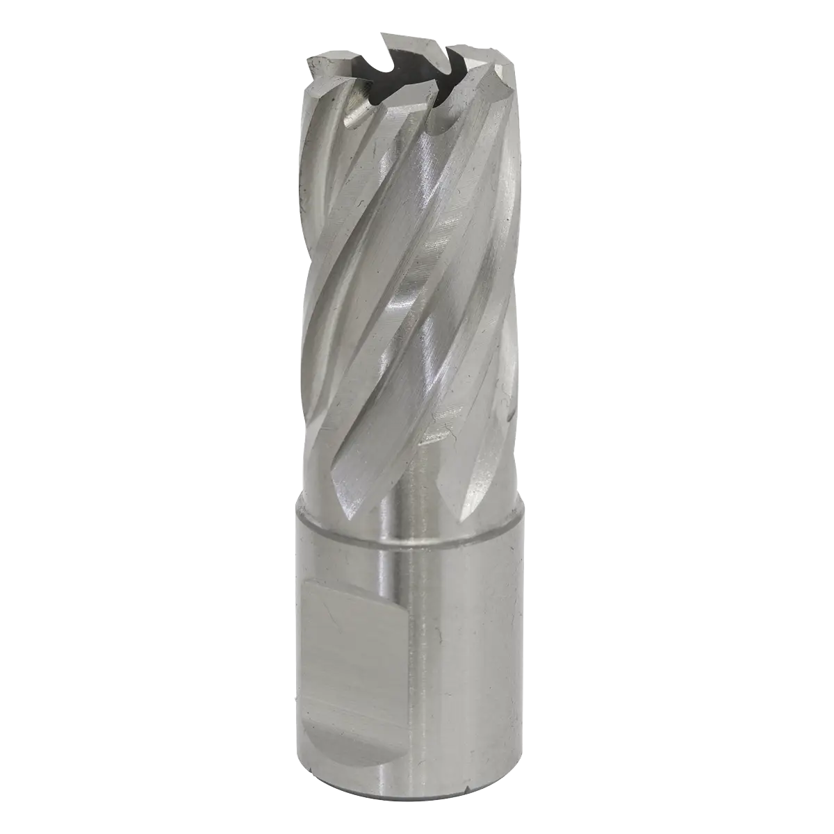 Worksafe® 17mm HSS Mag Drill Bit Cut Depth 25mm [RBHSS17S]