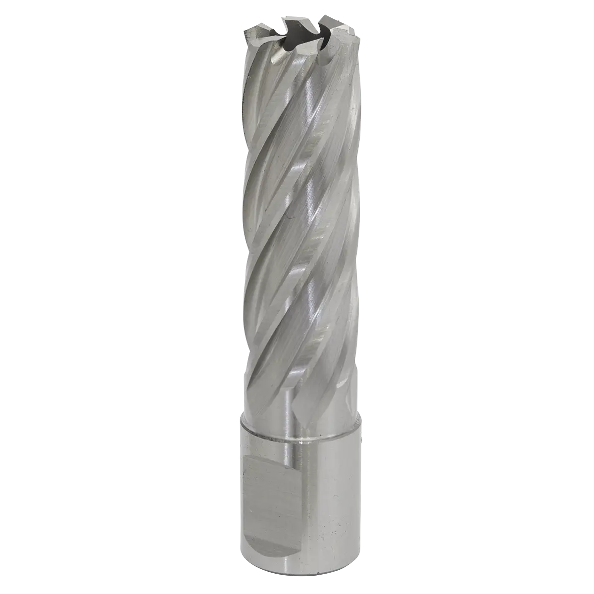 Worksafe® 18mm HSS Mag Drill Bit Cut Depth 50mm [RBHSS18L]