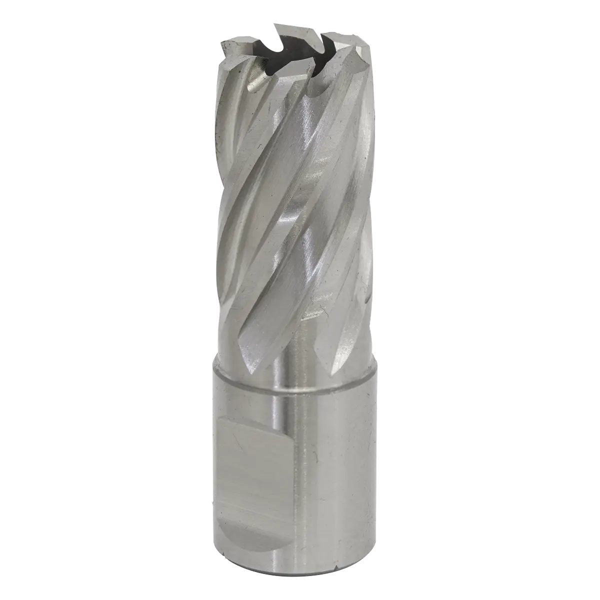 Worksafe® 18mm HSS Mag Drill Bit Cut Depth 25mm [RBHSS18S]