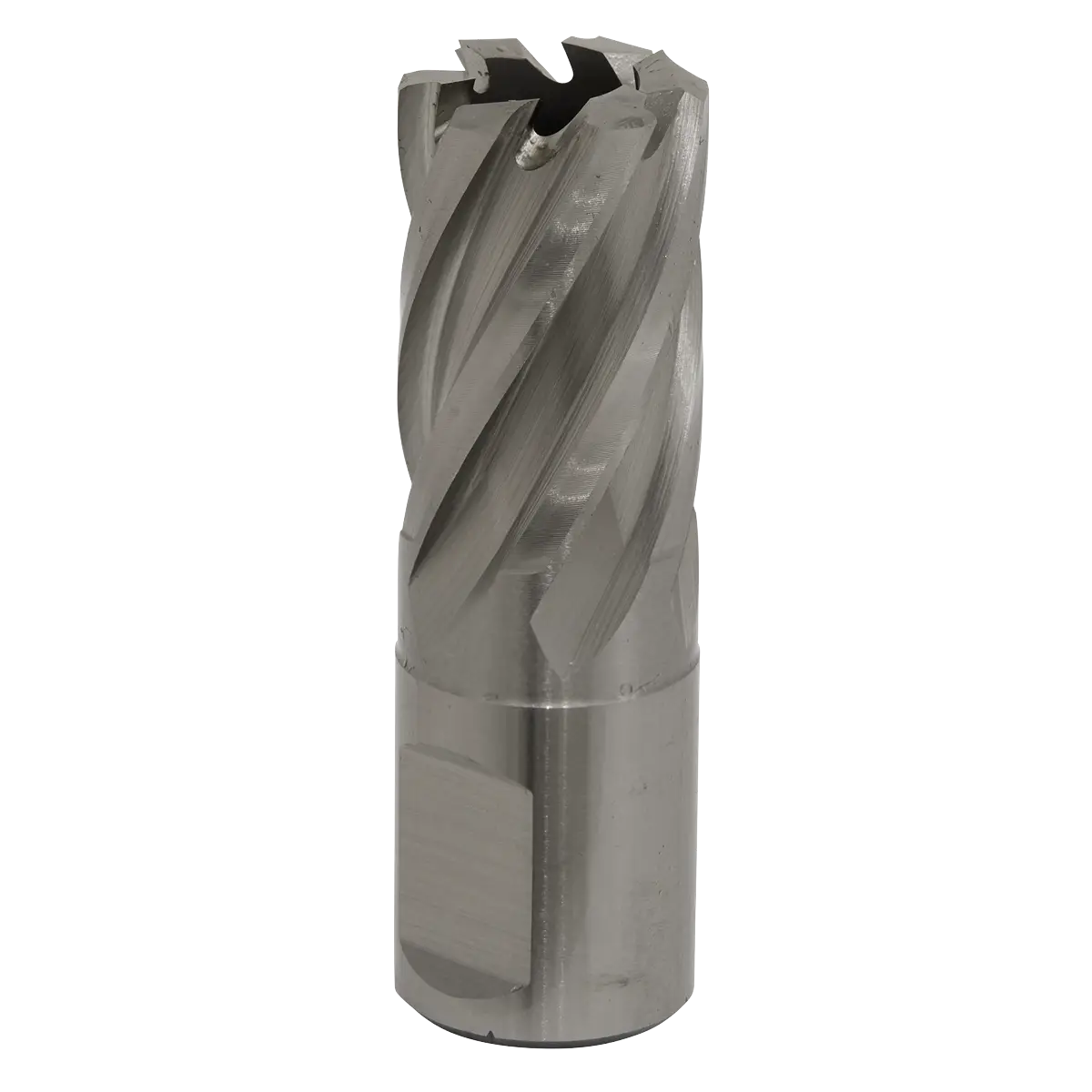 Worksafe® 19mm HSS Mag Drill Bit Cut Depth 25mm [RBHSS19S]
