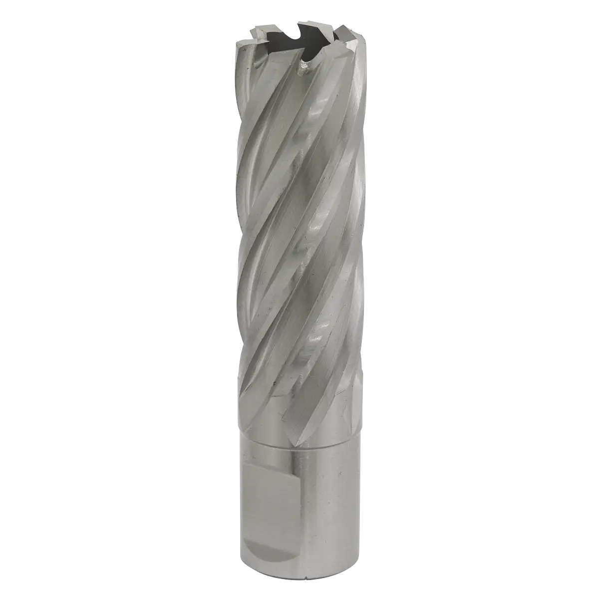 Worksafe® 20mm HSS Mag Drill Bit Cut Depth 50mm [RBHSS20L]