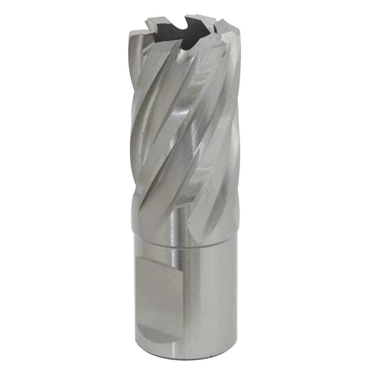 Worksafe® 20mm HSS Mag Drill Bit Cut Depth 25mm [RBHSS20S]