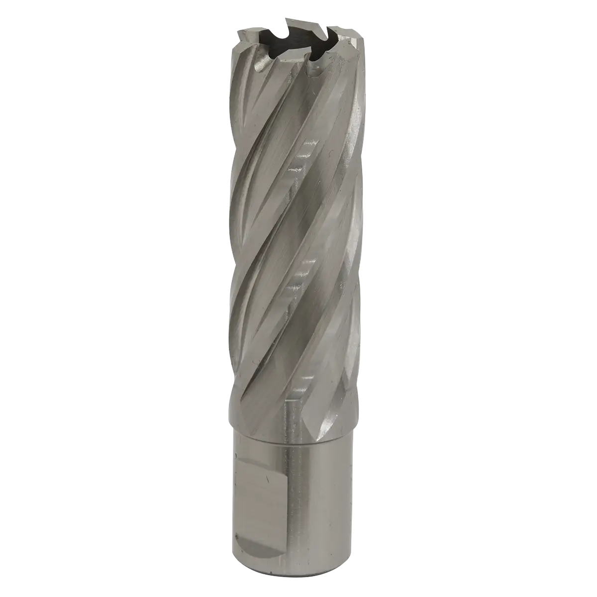 Worksafe® 21mm HSS Mag Drill Bit Cut Depth 50mm [RBHSS21L]