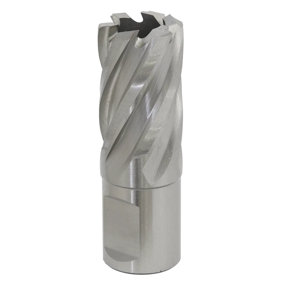 Worksafe® 21mm HSS Mag Drill Bit Cut Depth 25mm [RBHSS21S]