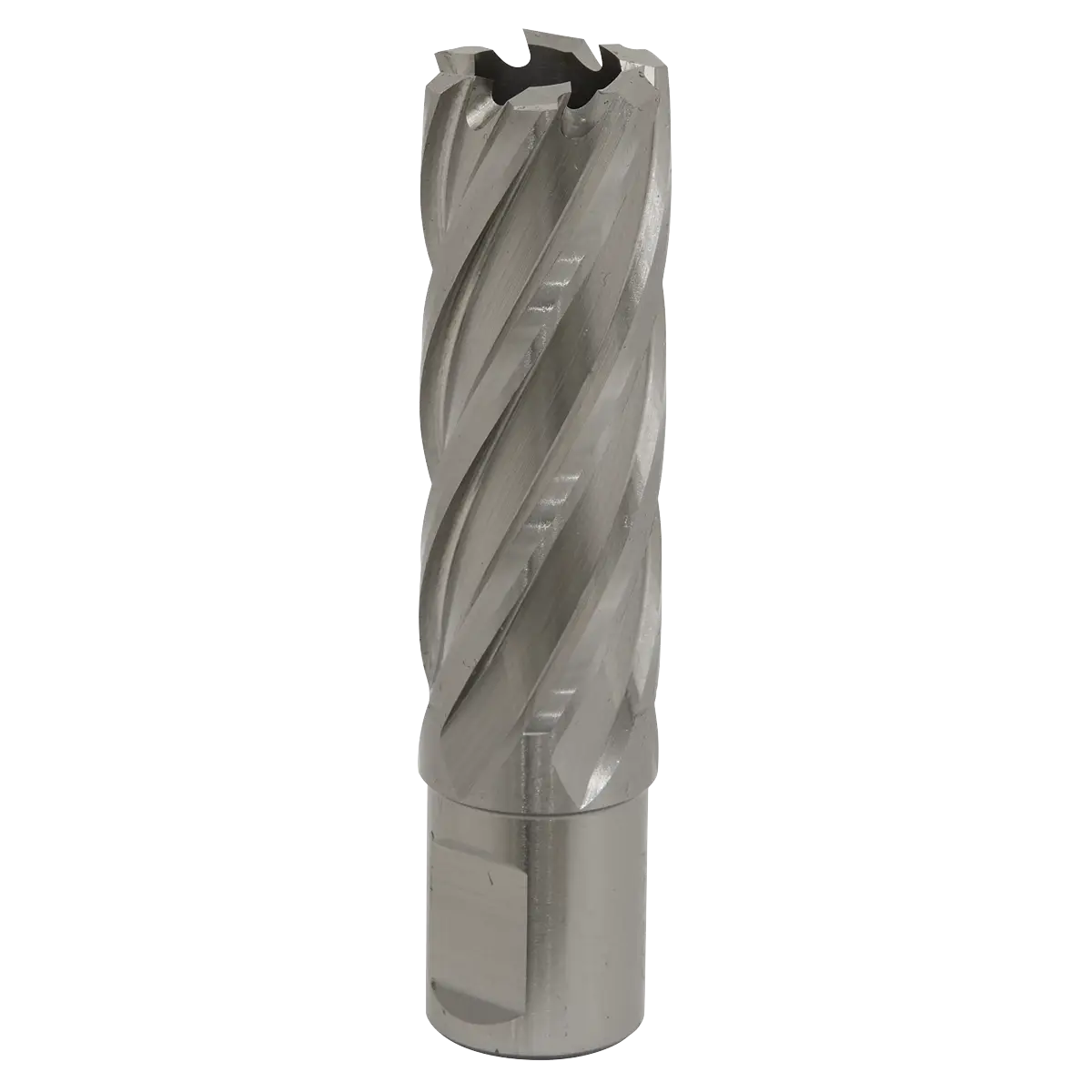 Worksafe® 22mm HSS Mag Drill Bit Cut Depth 50mm [RBHSS22L]