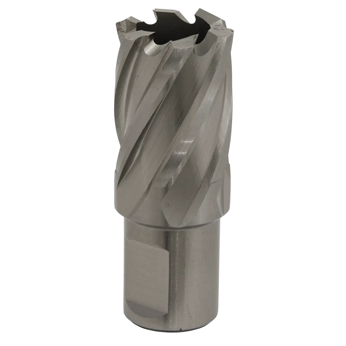Worksafe® 22mm HSS Mag Drill Bit Cut Depth 25mm [RBHSS22S]