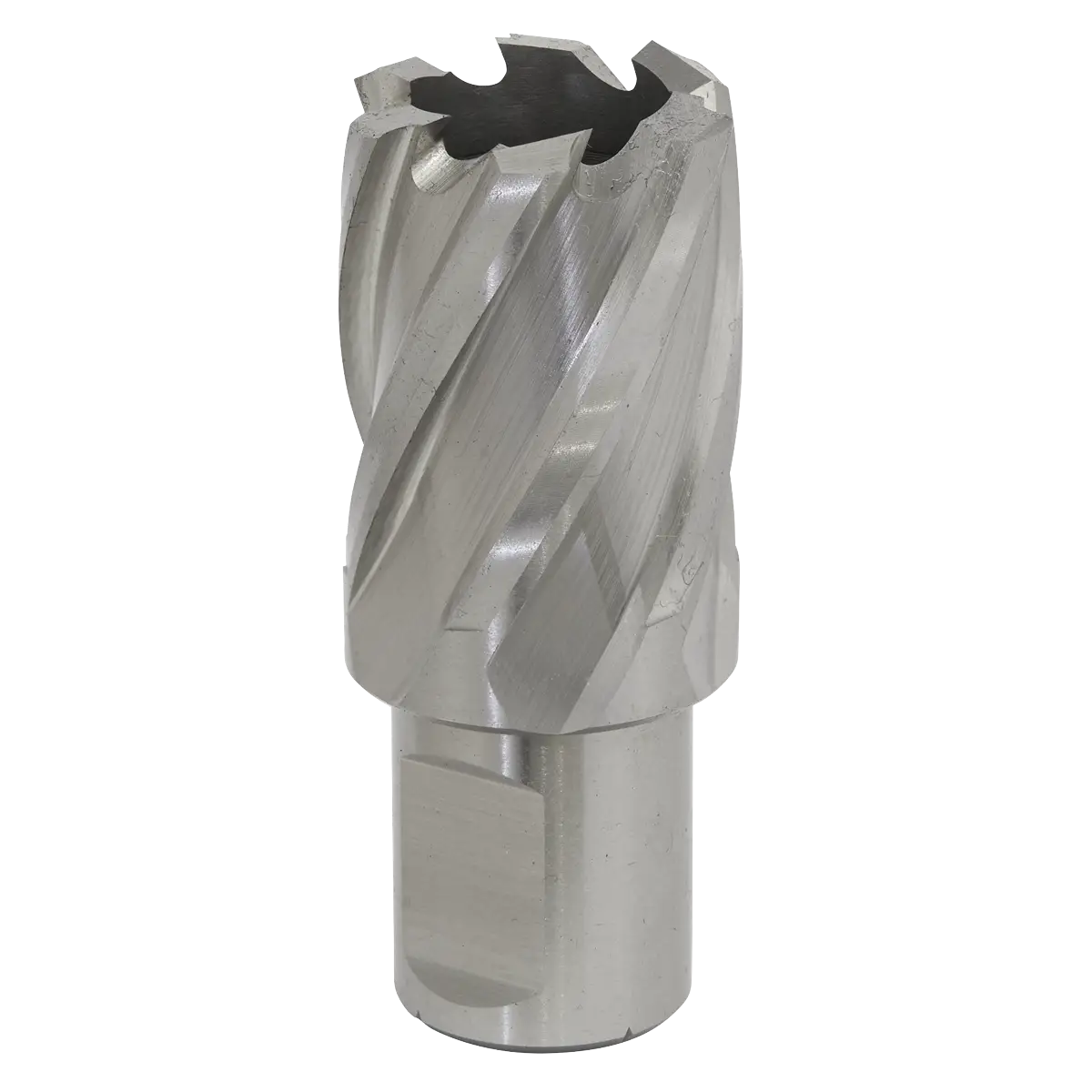 Worksafe® 24mm HSS Mag Drill Bit Cut Depth 25mm [RBHSS24S]
