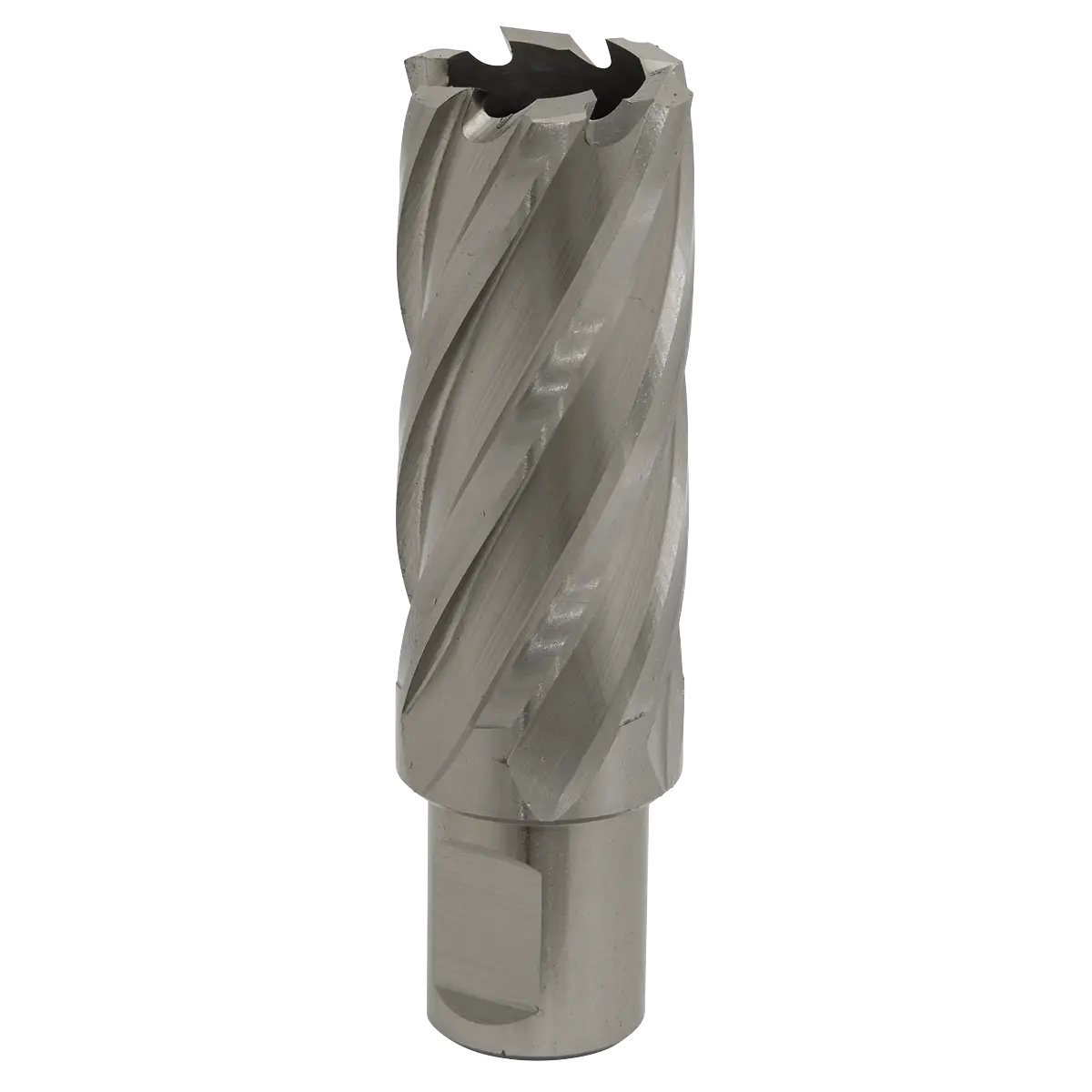 Worksafe® 25mm HSS Mag Drill Bit Cut Depth 50mm [RBHSS25L]