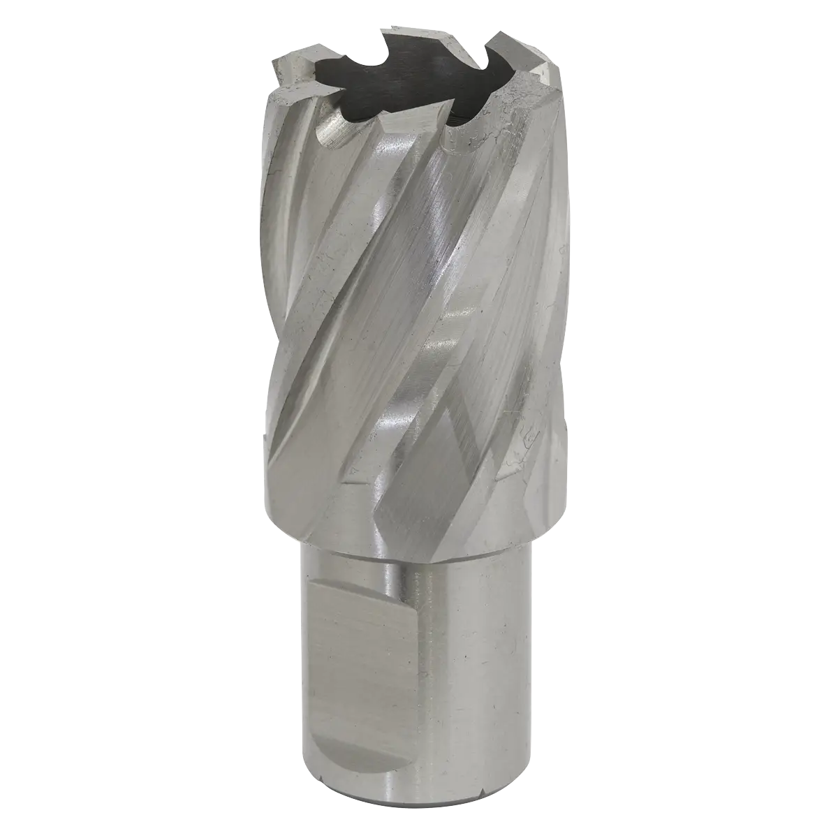 Worksafe® 25mm HSS Mag Drill Bit Cut Depth 25mm [RBHSS25S]