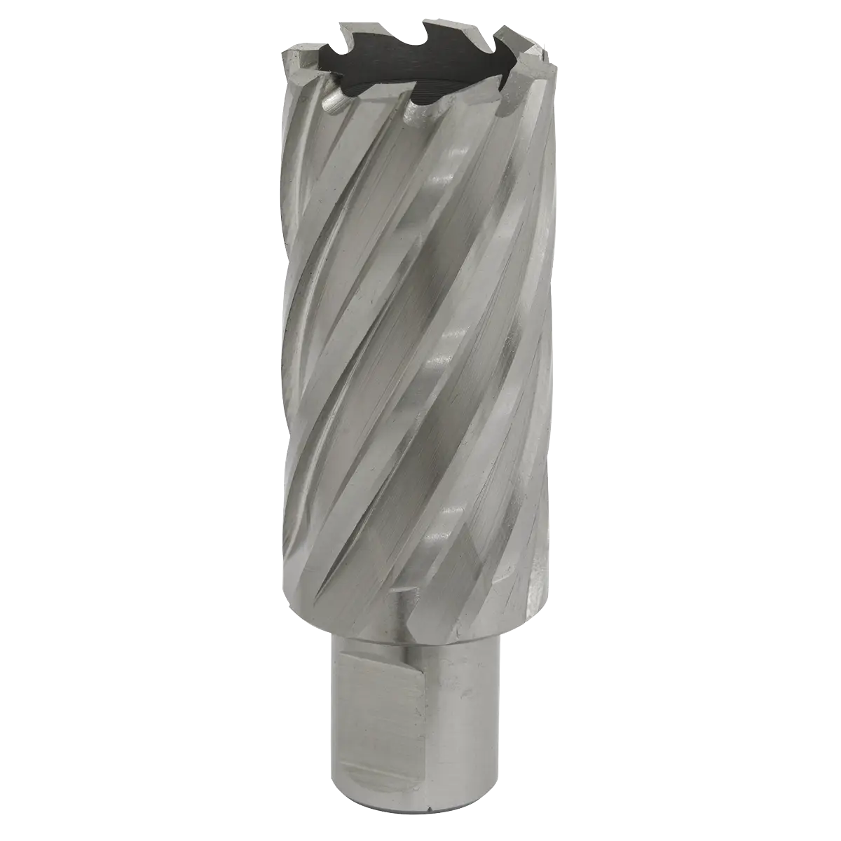 Worksafe® 29mm HSS Mag Drill Bit Cut Depth 50mm [RBHSS29L]