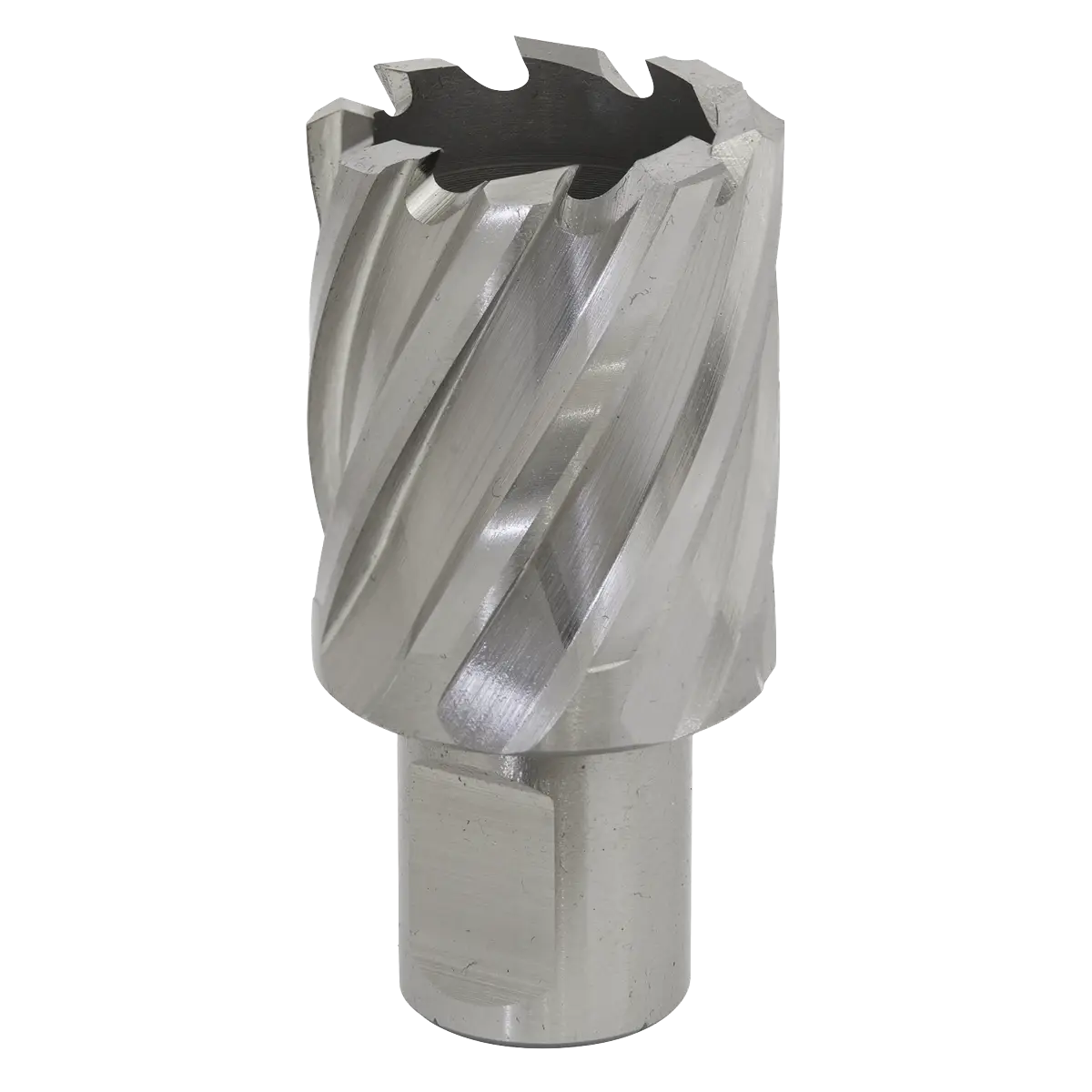 Worksafe® 29mm HSS Mag Drill Bit Cut Depth 25mm [RBHSS29S]
